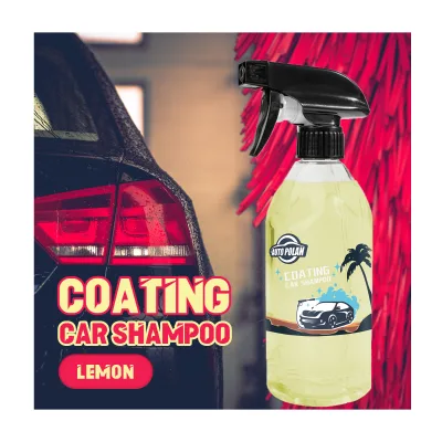 Hot Selling Liquid Shampoo for Car Washing Oem Cleaning Ceramic Coating Car Shampoo Quick Hyper Foam Cleaner Soap