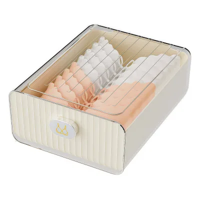 GREENSIDE Plastic Underwear Panties Storage Box Drawer-Type for Home Wardrobes Socks Lingerie Organizer Dividers Three-in-One