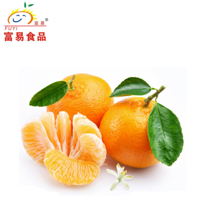 Chinese Fresh Ponkan Mandarin/sweet Nanfeng Mandarin/mashui Mandarin