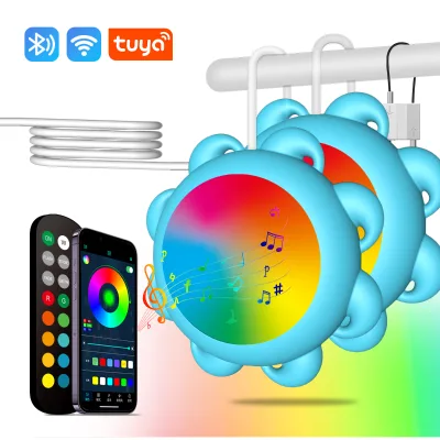 Factory IP68 Waterproof Bluetooth App Control Led Submersible Underwater Light Resin Filled Color Smart PC Swimming Pool Lights