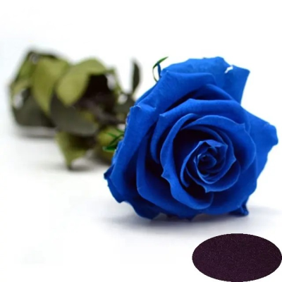 Multi Colors Water Soluble Dyes Blue Dyes for Natural Flowers