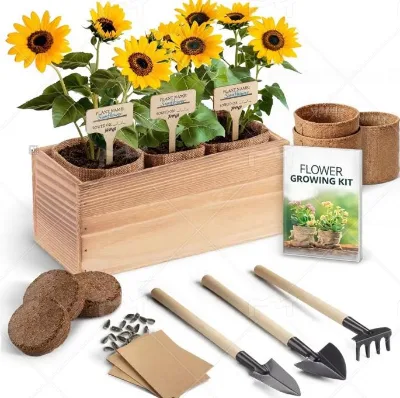 Sunflower Seeds Growing Kit | Complete Indoor/Outdoor Planting Kit-Compact Easy to Grow 0.5kg Gift-Ready
