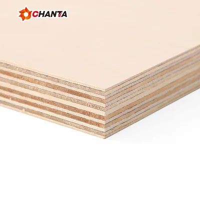 Wholesale Best Quality 3/4 1/8" 15 mm 6.5mm Birch Plywood