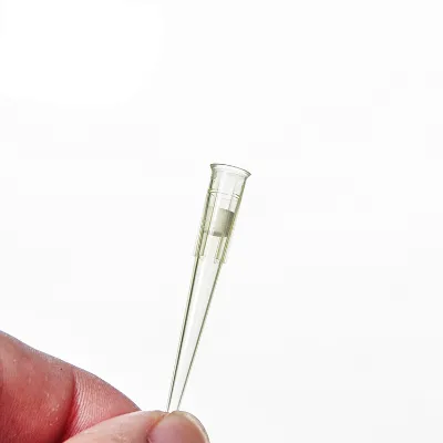 Laboratory Consumables 200ul Filter Tips Micro Pipette Tips for Lab Test with CE ISO DNase RNase Free Pipette Tip