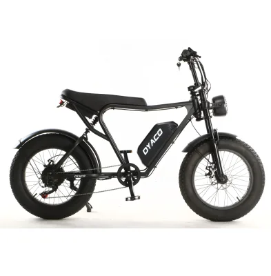 FateBike Urban 20 Inch 500W 13 Ah 48V Harley Electric BICYCLE STEEL FRAME Road EBIKE E3000