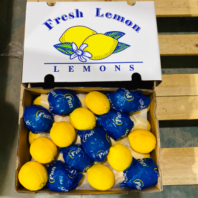 Chinese High Quality Juicy Sour Lemon