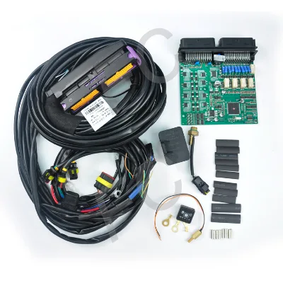 AUTO Fuel System Lpg/ Cng Ecu 6 Cylinder Complete Conversion Kit for Cng lpg Ecu Complete Conversion Kit