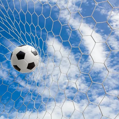 Versatile Hexagonal Football Net All-Weather Performance Non-Slip Pegs Easy Installation for Various Pitches