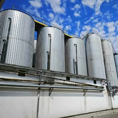 Cassman Large Brewery Fermenter 10000L/20000L/50000L PLC Controlled Motor High Productivity Beer Production System Pump Pressure