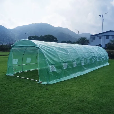 Cheap Metal Vegetable Hobby Garden Greenhouses UV Resistant Eco-Friendly Green House Tent