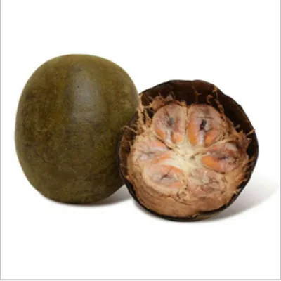 Premium Quality Fresh Delicious Dried Herb Monk Fruit Luo Han Guo Momordica Grosvenori