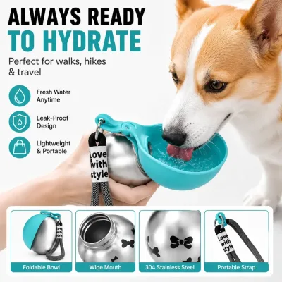 2026 New Product Portable Stainless Steel Pet Water Bottle 2-In-1 Foldable Outdoor Dog Drinking Cup
