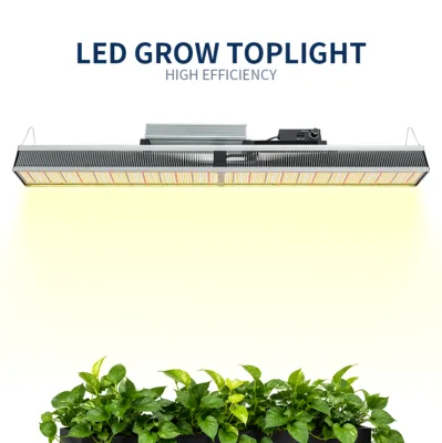Led Top Lighting 640 320 Watt Grow Led Light Cob Led Grow Light Bar