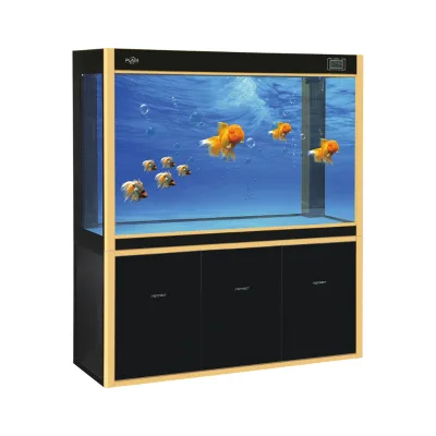 Chinese Supplier Arowana Large Glass Fish Tank