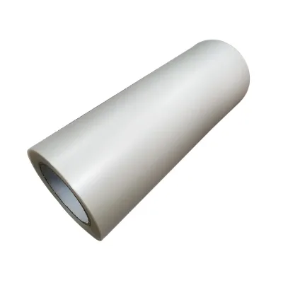 Best Selling Cold / Hot Teared PET Film with High Quality Pet Film Printing for DTF