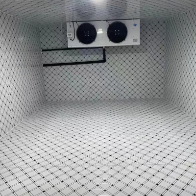 Cold Room Storage with Copeland & Fusheng Refrigeration System Core Motor Components for Fresh Food Preservation Fast Freezing