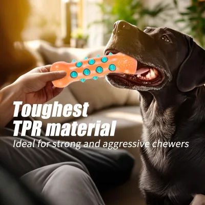 Pet New Design Durable TPR Squeaky Dog Toys Teeth Cleaning Toy Medium Large Pets
