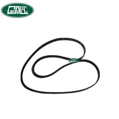Drive Belt C2D19766 LR057457 6G9Q6C301CA 6K2199 for Jaguar XF 2009-2015 XJ 2010- XE 2015- 2.0T Petrol GJ0315 GL2223 Car Parts