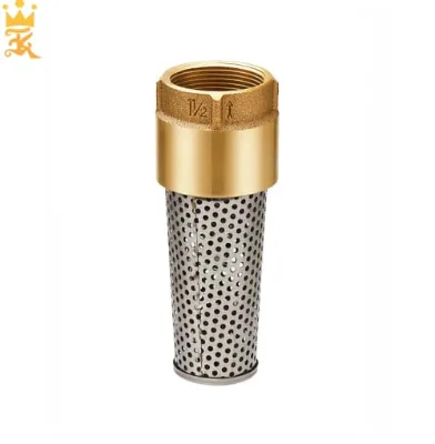 High-Pressure Non-Return Brass Foot Valve with Universal Compatibility