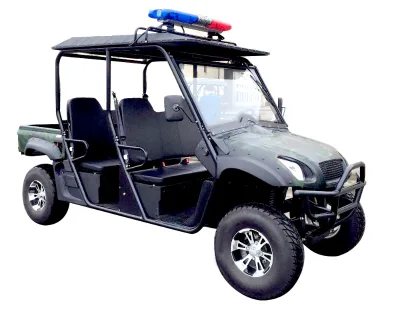 Best Cheap 4 Seater Family Side by Side Sxs