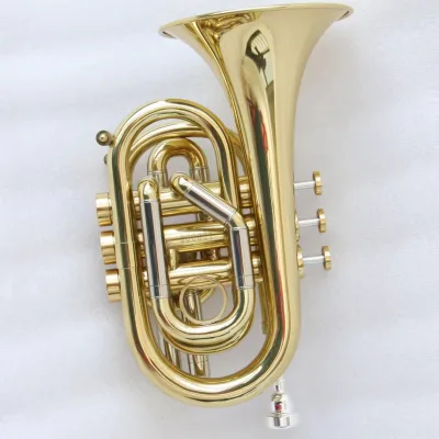 Cheap Musical Instruments Trompeta Bb Mini Trumpet Pocket Trumpet with case