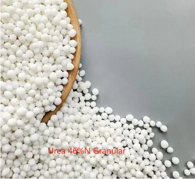 Best Price for High Purity 99% Methyl 1H-indazole-3-carboxylate CAS 43120-28-1