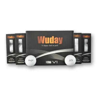 Hot Sale 2 3 4 Layer Piece Golfballs Blank Golf Ball Set Tournament Golf Balls With Packaging