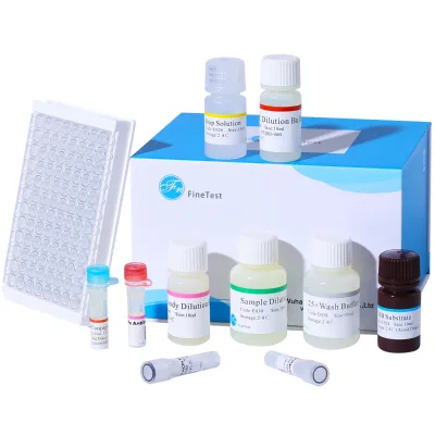 FineTest Custom Chemical Services High Quality COR ELISA Kit for Scientific Research Quick Test Monkey Cortisol