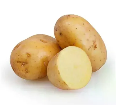 Fresh Refrigerated High-quality Potatoes Shandong Elongated 55cm Newest Crop Pure Content No Additives Heli Brand Ready Consume