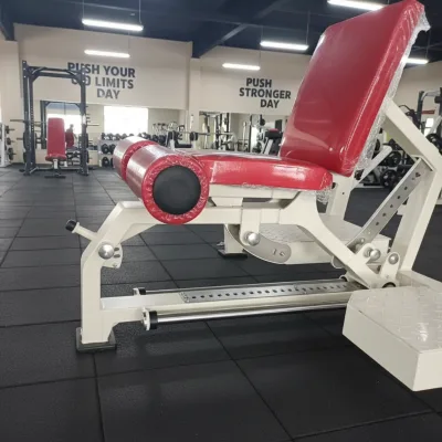 Lingxi Multi-Function Adjustable Stainless Steel Frame Foldable Bench Press Rack for Home Gym Strength Training-Unisex Safety