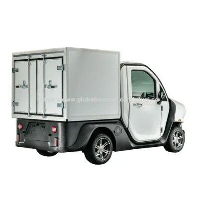 New Arrival 6000W EEC Approved Electric Cargo Car New Energy Vehicle for Adults Two-Person Capacity