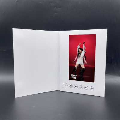 Custom 7 Inch Screen Lcd Portrait Chinese Homemade Lcd Brochure Video Suppliers