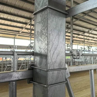 Dairy farm, cowshed, accessories, hot dip galvanizing, clamps, details, Chinese factory, strong production
