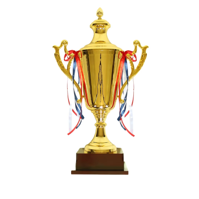 Manufacture Silver Gold Trophy Custom Crafts Sport Competition Trophy Award Cup Large Size Base All Metal Trophy Cup