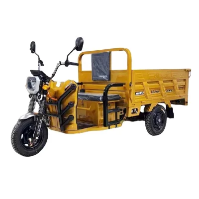 New Electric Rickshaw Other Tricycles Electric Tricycles Adult Tricycle Buy 1 Get 1 Sale New Energy Vehicles