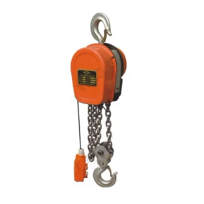 DHS Type Lifting Electric Chain Hoist Construction Hoist