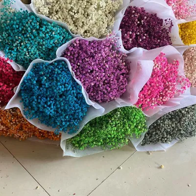 Preserved Long Lasting Mini Artificial Natural Flower Gypsophila Bunch Preserved Baby's Breath Dried Gypsophila