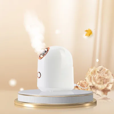 Small Private Label Face Ionic Mini Professional Wholesale Custom Nano Portable Facial Steamer