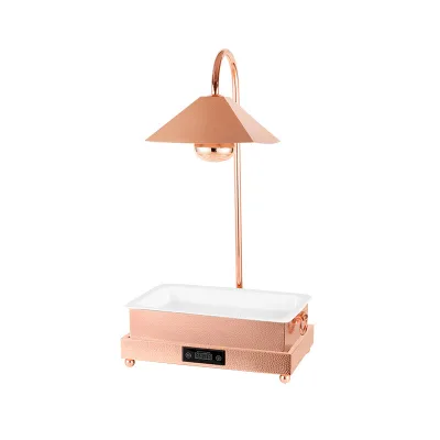 Commercial Table Top Buffet Warming Lamp Electric Heating Stainless Steel Gold Color Food Warmer Roasting Display Counter for