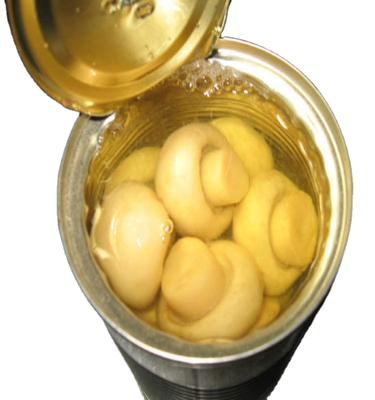 Hot Sale Fresh Cotton Delicious Whole Mushrooms Canned Mushrooms