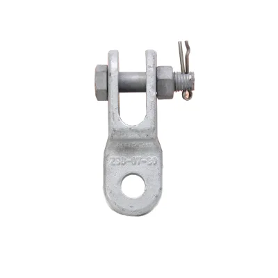 Twisted Clevis Link Eyes Hinge Clevis Tongue