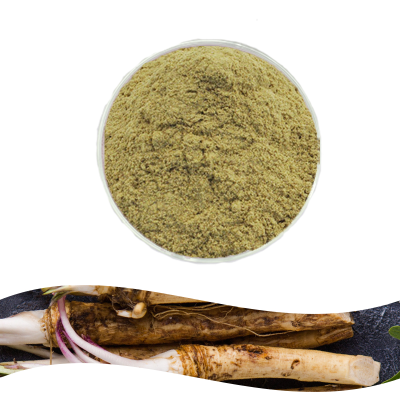 Bulk Supply Premium Pure Horseradish Powder High Quality Horseradish Extract