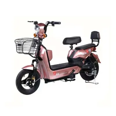 Hot Sale 14'' 48V 12Ah Electric Bike Fat Tire E Bike with ce eec Electric City Bike 3 Speed