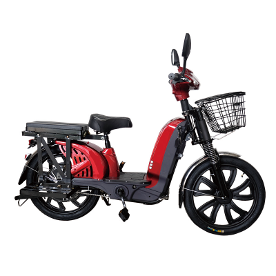 Electric Bicycle 2 Seater Electric Bike 100km Range Prices of Electric Motorcycles