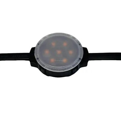 High Quality 24V LED Dot Pixel Light Controller IP67 Wholesale DMX Smd3535 Pixel for Outdoor Landscape White Emitting Color