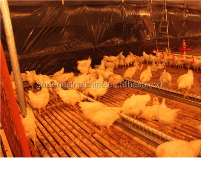 Goldenest Poultry Chain Feeding System Plastic Scraper Open Feed Trough for Breeder Layer Equipment Supplies
