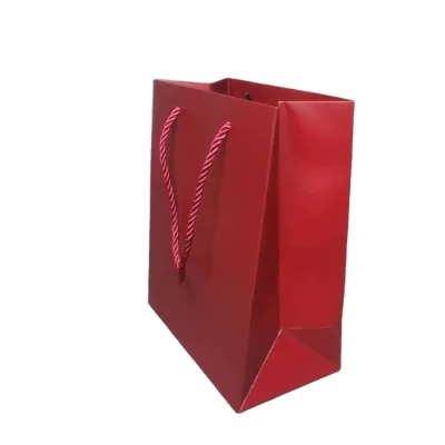 Factory Biodegradable Kraft Paper Bags Carrying Bag Print with Handles Customized Shopping Paper Bag