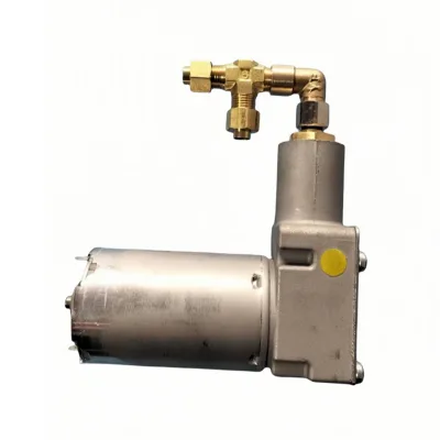 Multi Voltage 12V 24V 48V Air Pump for Heavy Duty Truck Bus Excavator Air Suspension Seat Inflation Air Compressor