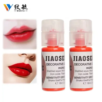 Custom Lip Eyebrow PMU Organic Semi Permanent Makeup Pigment 10 Colors 10ml Tattoo Ink with Easy Application for Beginners
