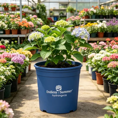 Blow Molded Plastic Nursery Pots Durable and Reusable for Many Seasons